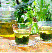 Tinh dầu trà xanh